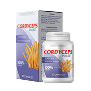 Cordyceps Pulse PL lungs